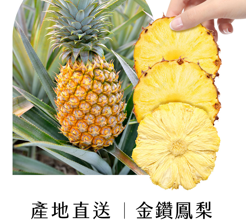 鳳梨果乾即食包，適合辦公室當作健康點心，鳳梨果乾泡製的冷泡水，無糖無添加，清爽果香喚醒一天活力，展現生活儀式感與輕盈飲食概念