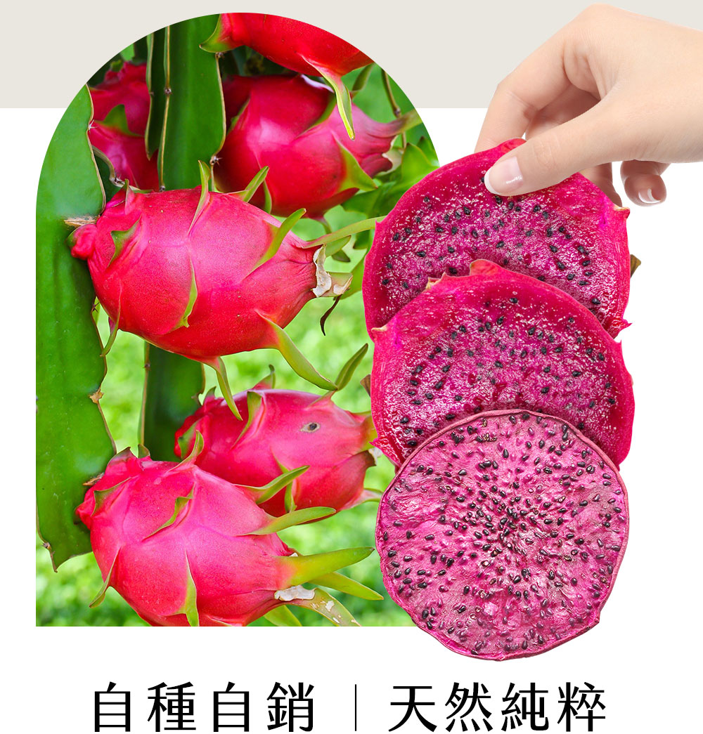 火龍果果乾即食包，適合辦公室當作健康點心，火龍果果乾泡製的冷泡水，無糖無添加，清爽果香喚醒一天活力，展現生活儀式感與輕盈飲食概念