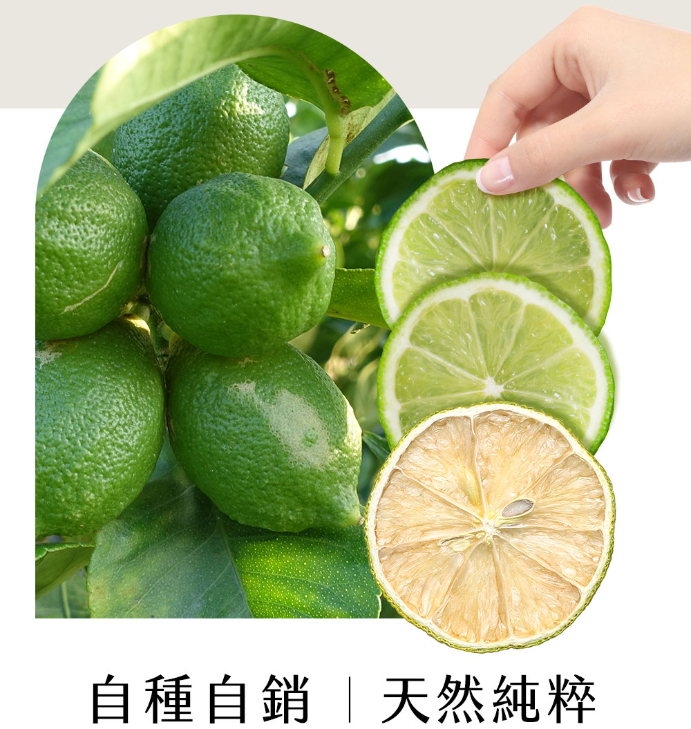 鳳梨果乾即食包，適合辦公室當作健康點心，檸檬果乾更建議泡成冷泡水，無糖無添加，清爽果香喚醒一天活力，展現生活儀式感與輕盈飲食概念